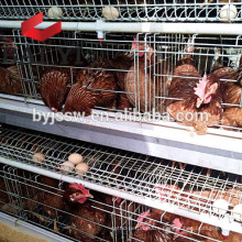 Gold Supplier Open House Battery Cage System/ Poultry Cage System